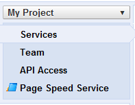 page-speed-service