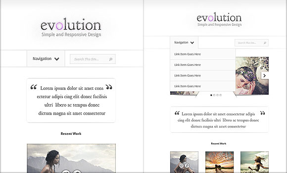 evolution elegant theme