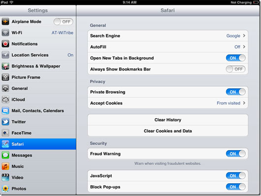 how to go incognito safari ipad