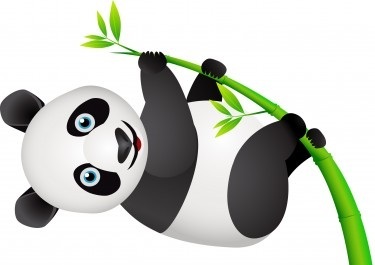 google-panda-update