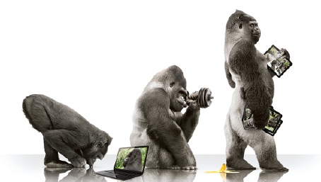 GorillaGlass