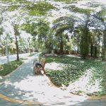 Dokicam 360° 4K Camera Review – Should You Buy the Cheap Camera