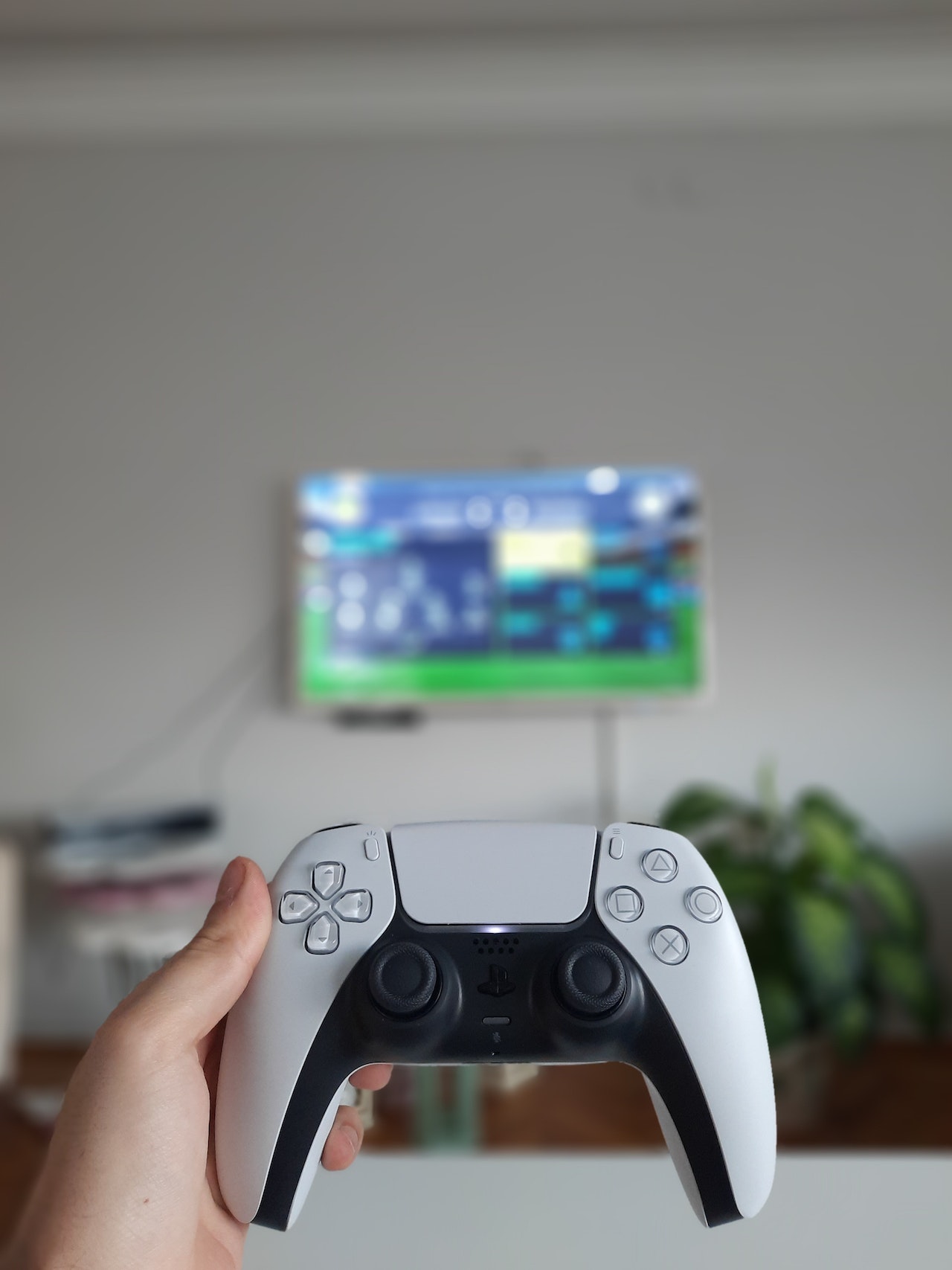 The Best Friend for PlayStation 5